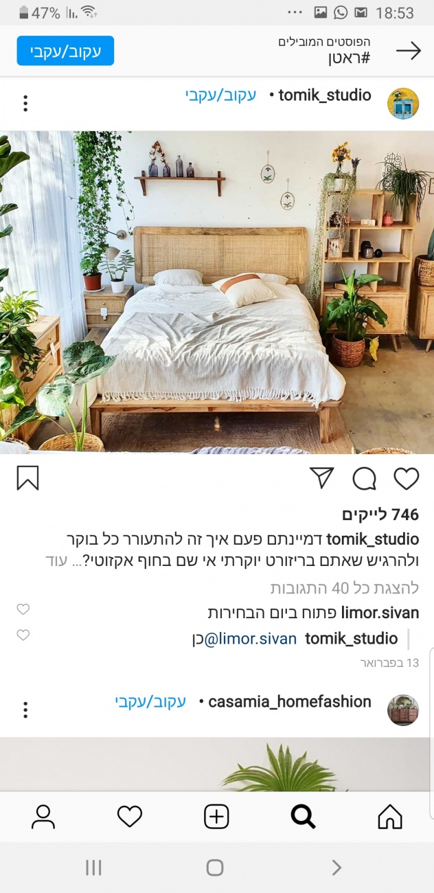 Bed