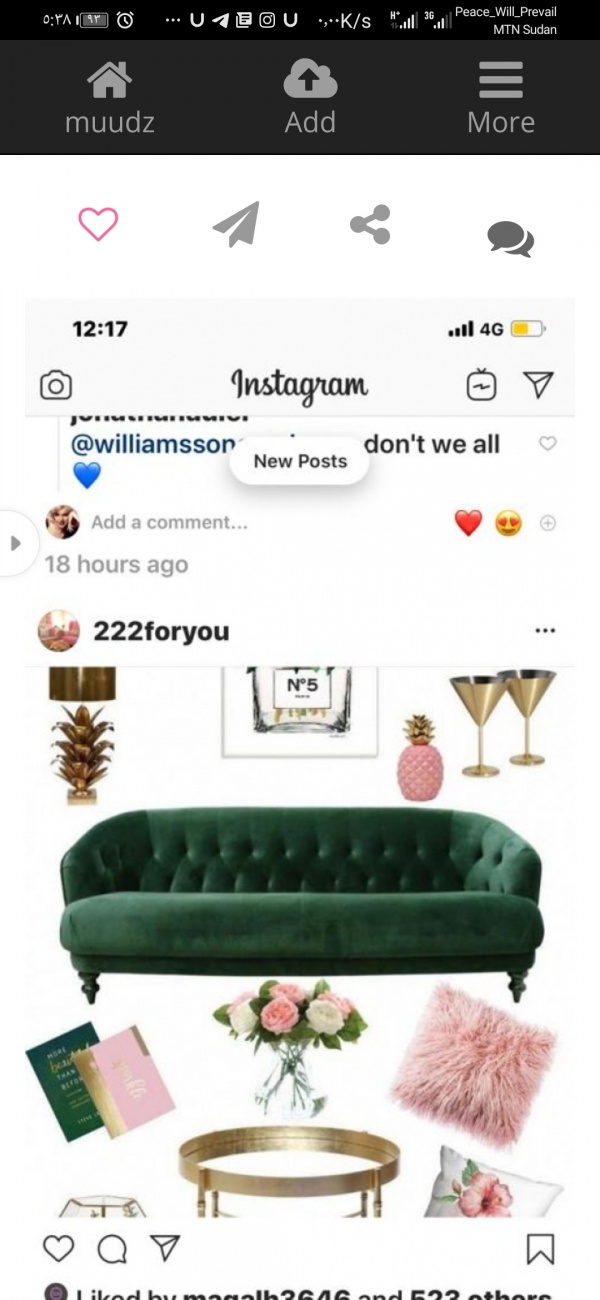 Bed