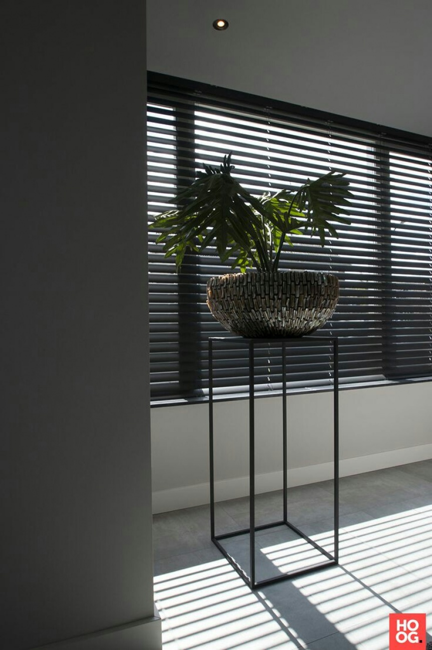 Blinds