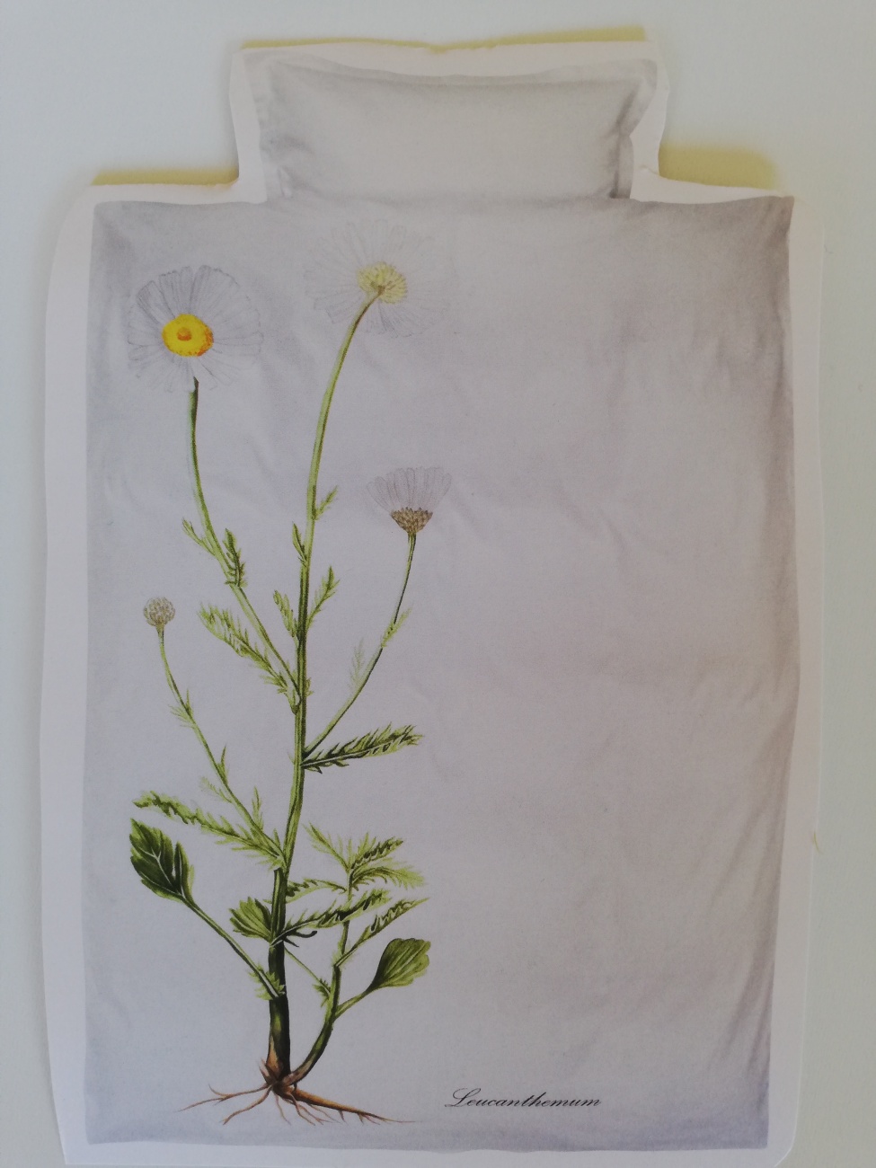 Botanical print