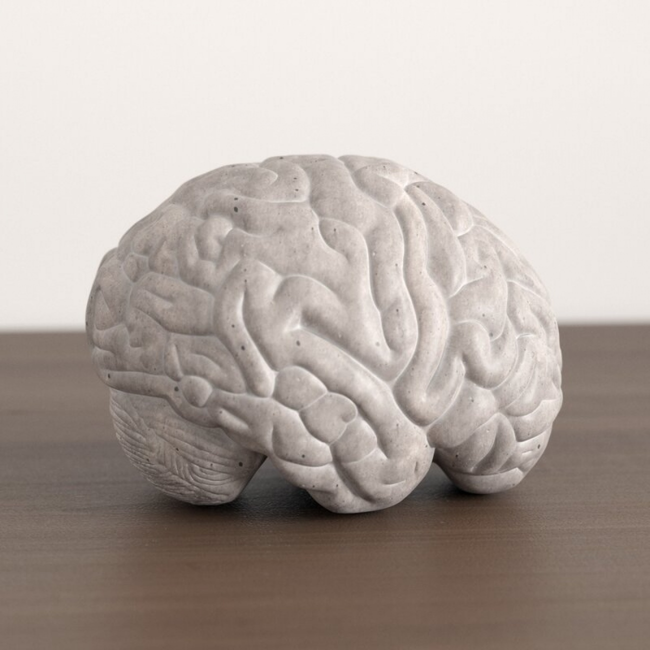 Brain