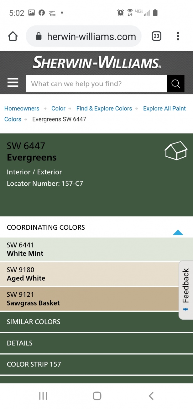 Cabinet and wall color