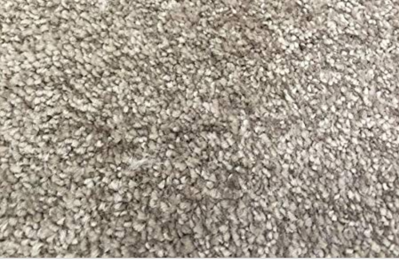Carpet