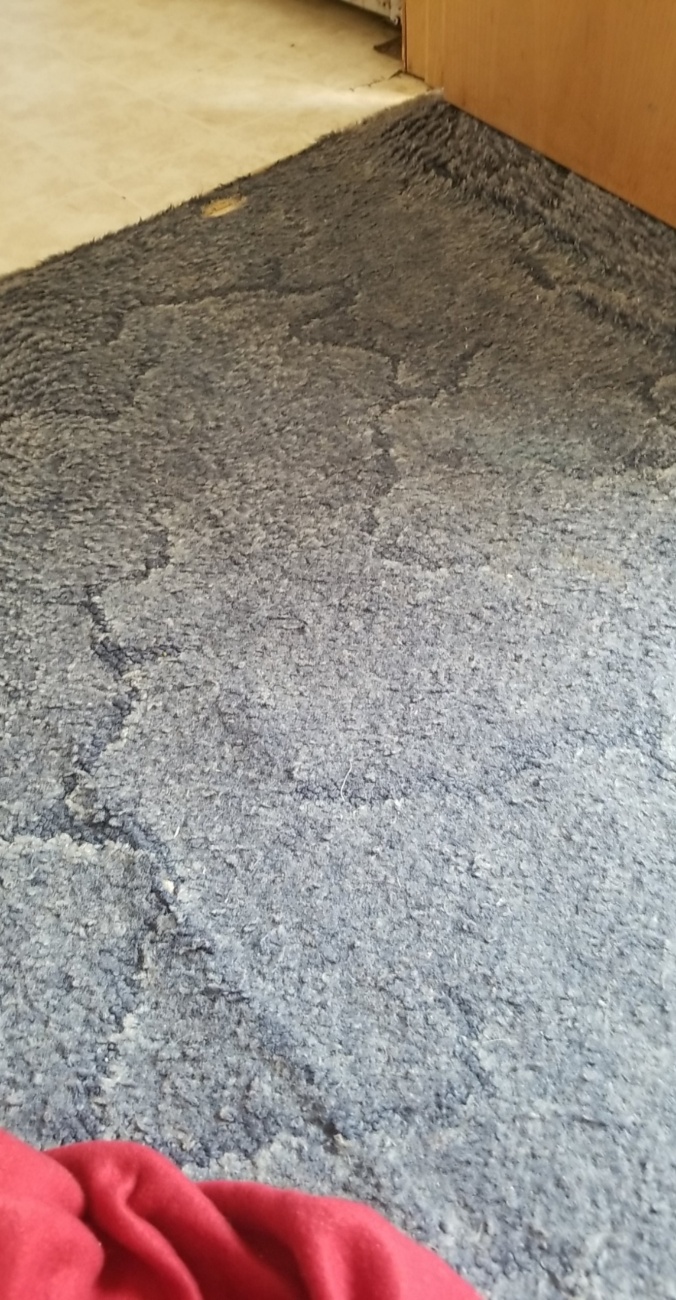 Carpet