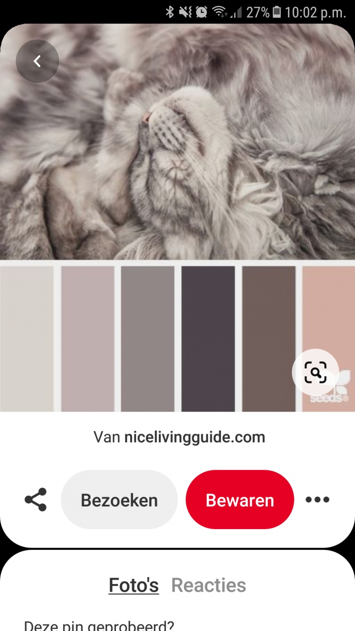 Color