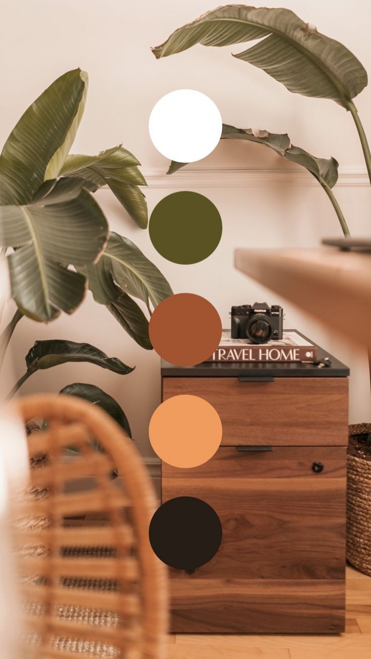 Color scheme 