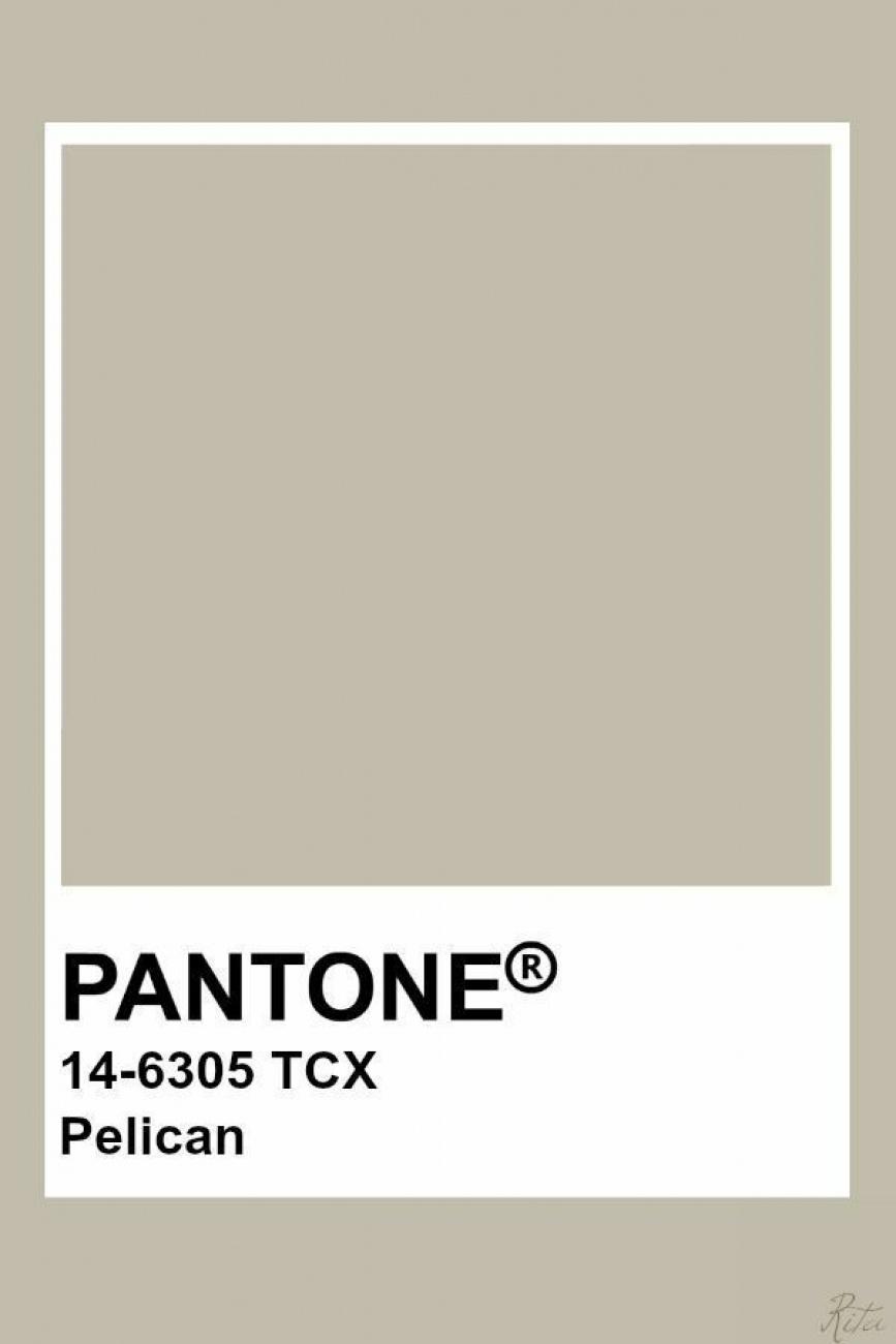 COLOUR 2
