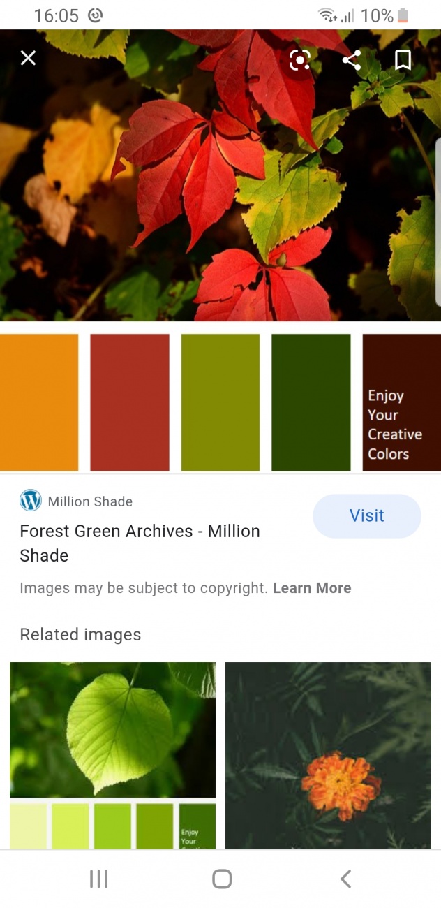 Colour chart 3