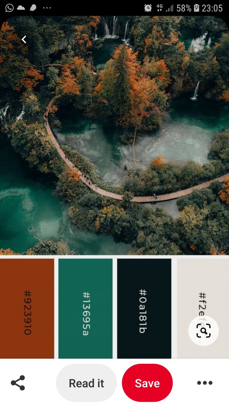 Colour chart 3