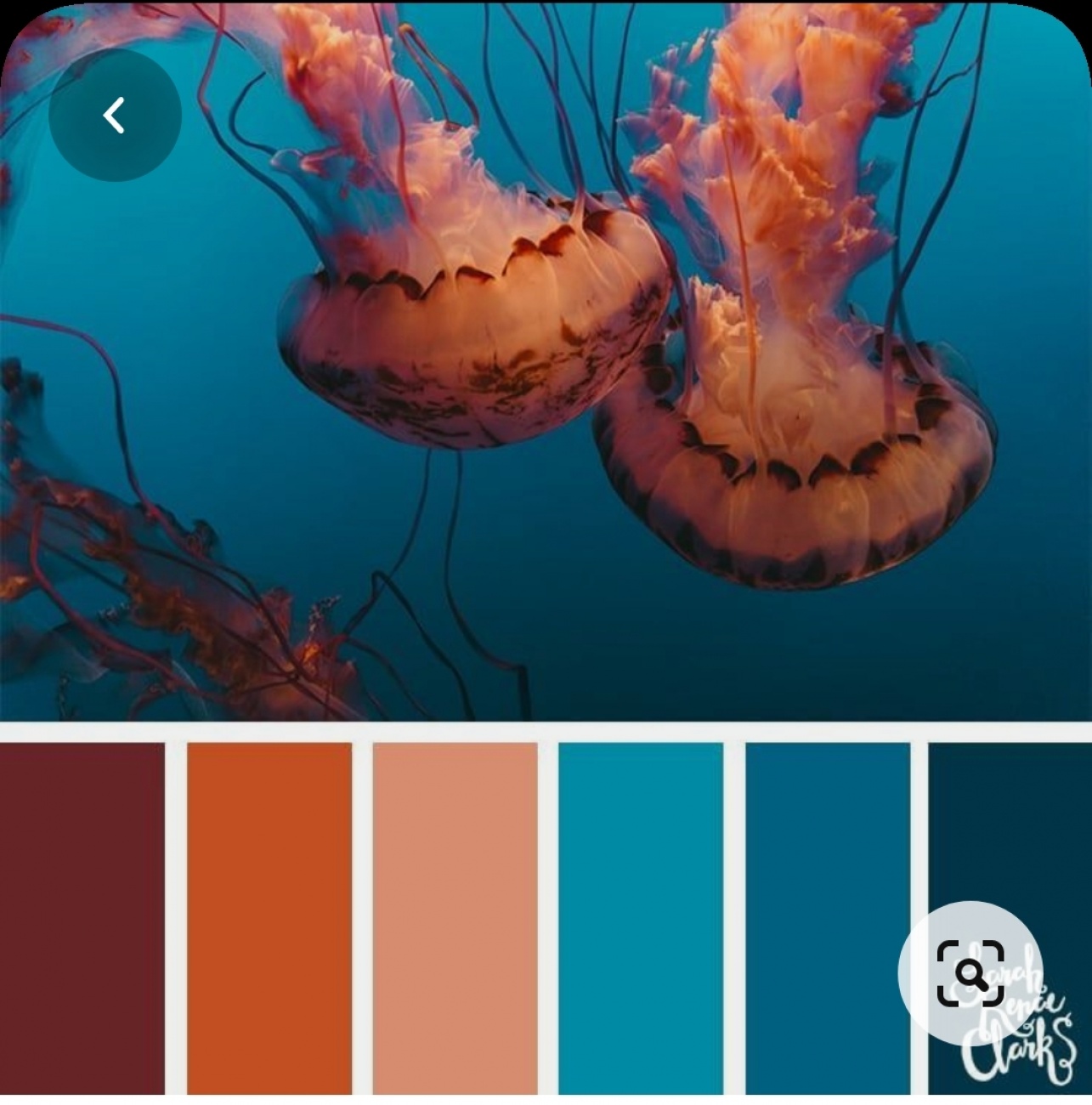 Colour chart