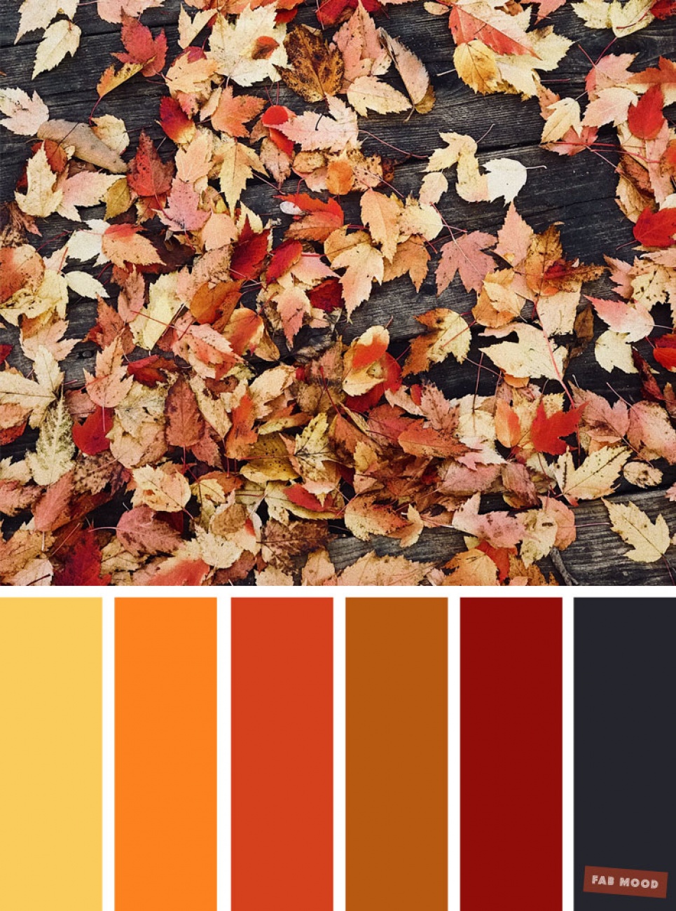 Colour scheme for decorations around ...