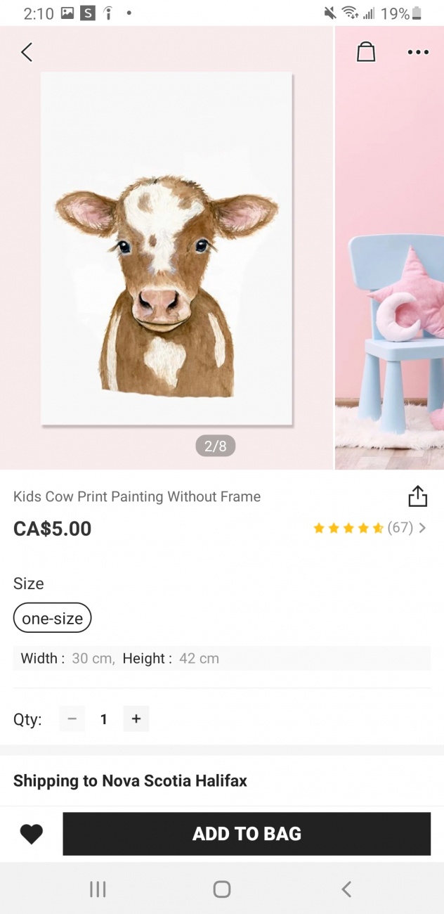 Cow 