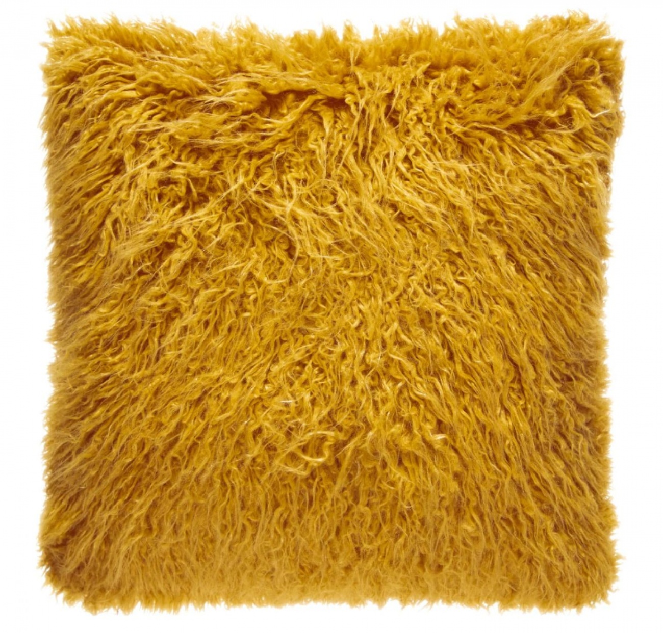 Cushion