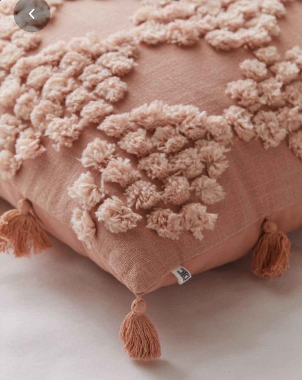 Cushion