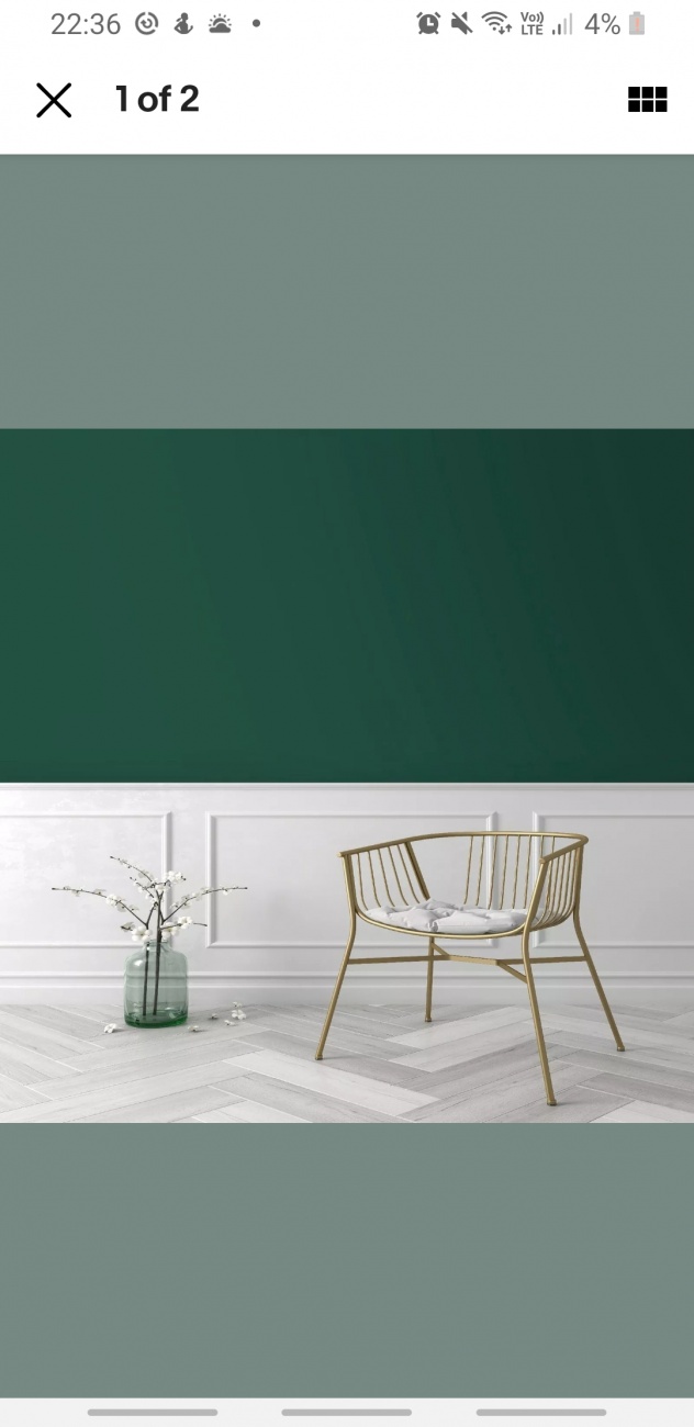 Dark Green Living Room Wall