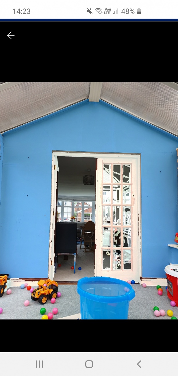 Delicate Cornflower feature wall