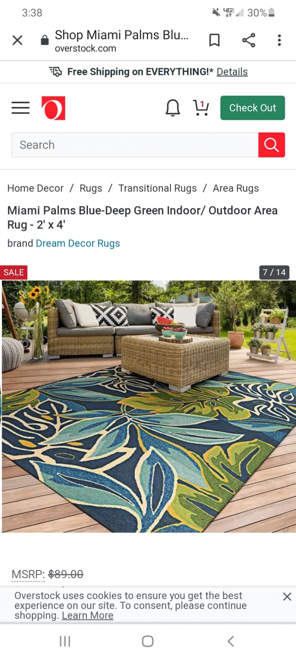 Dining room rug