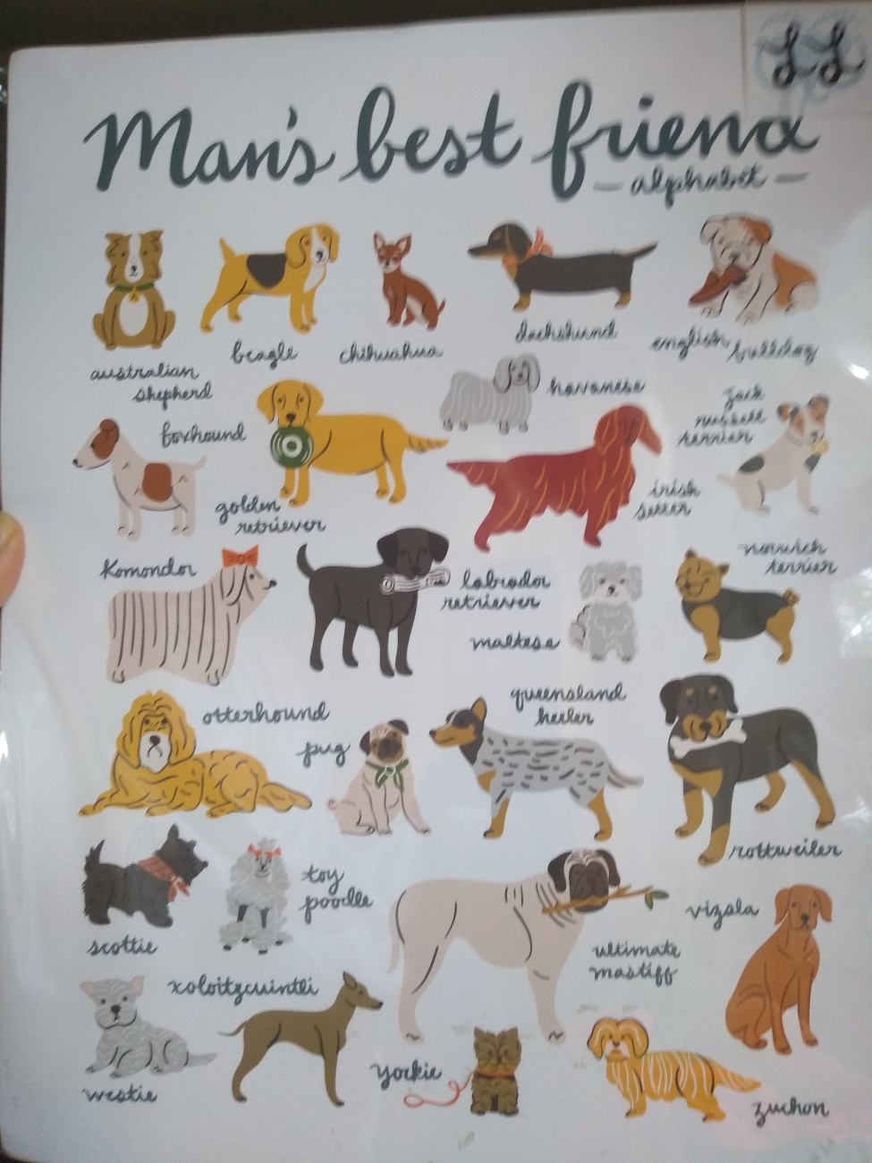 Dog print
