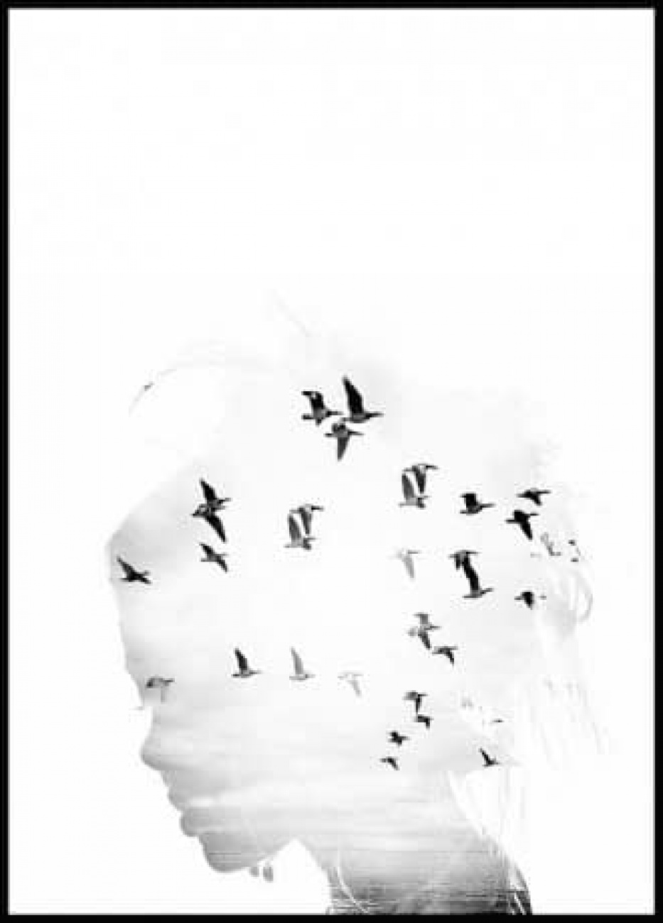 Dream