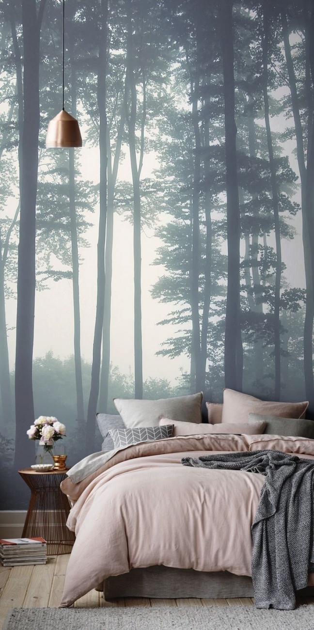 Dream room