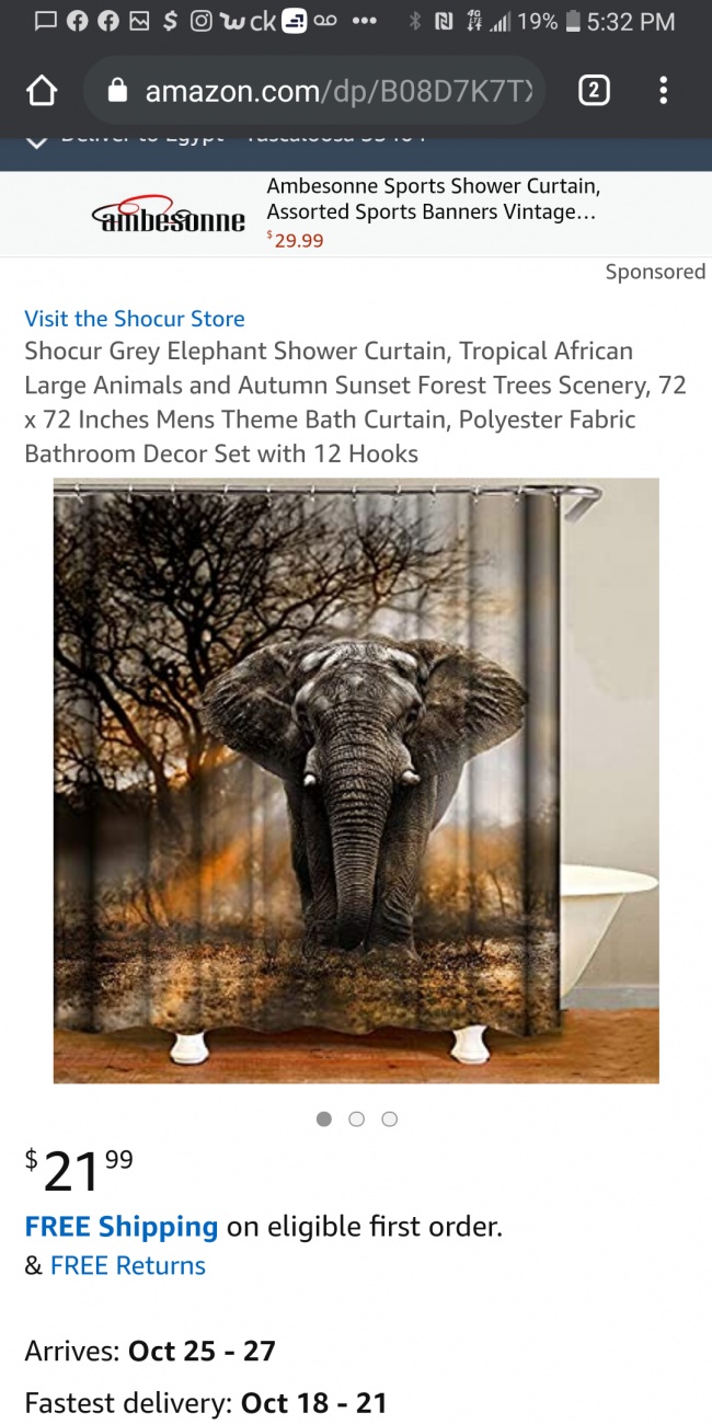 Elephant