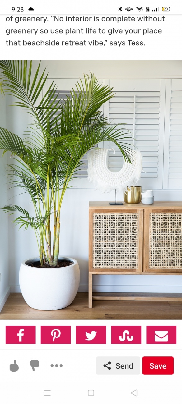 Entry way storage 