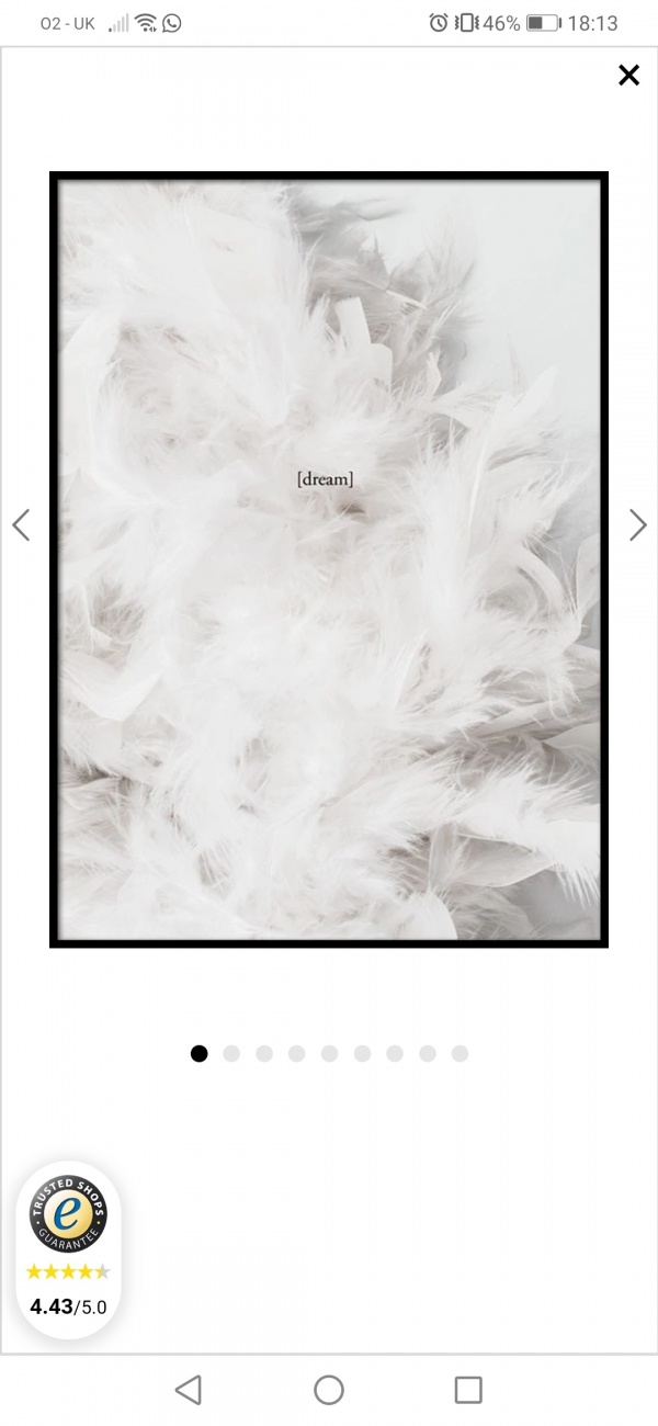 Feathers
