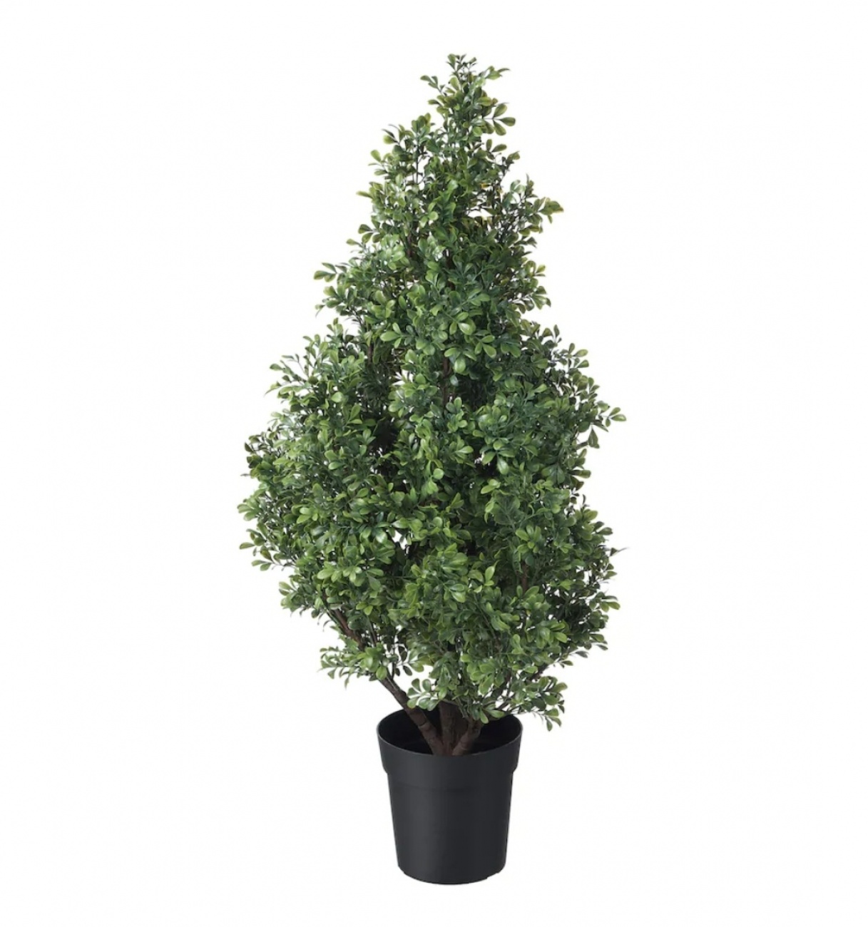 Fejka Boxwood Tree