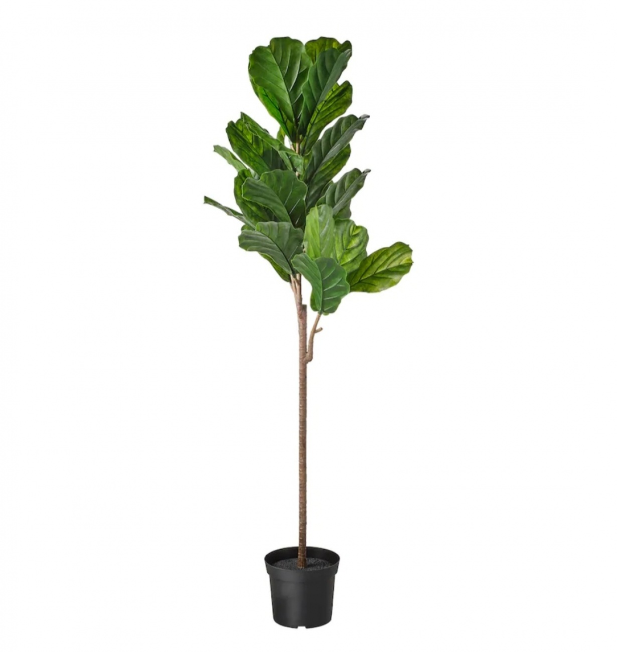 Fejka Fiddle Leaf Fig