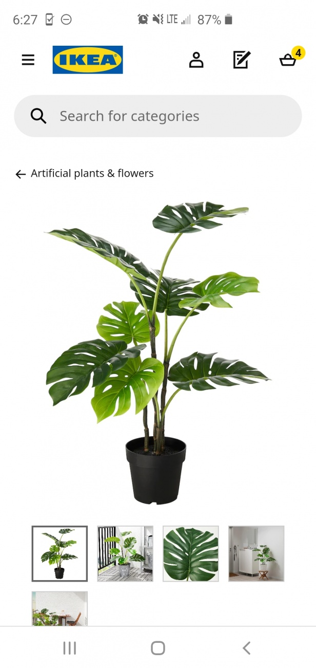 Fejka Monstera 7.5"