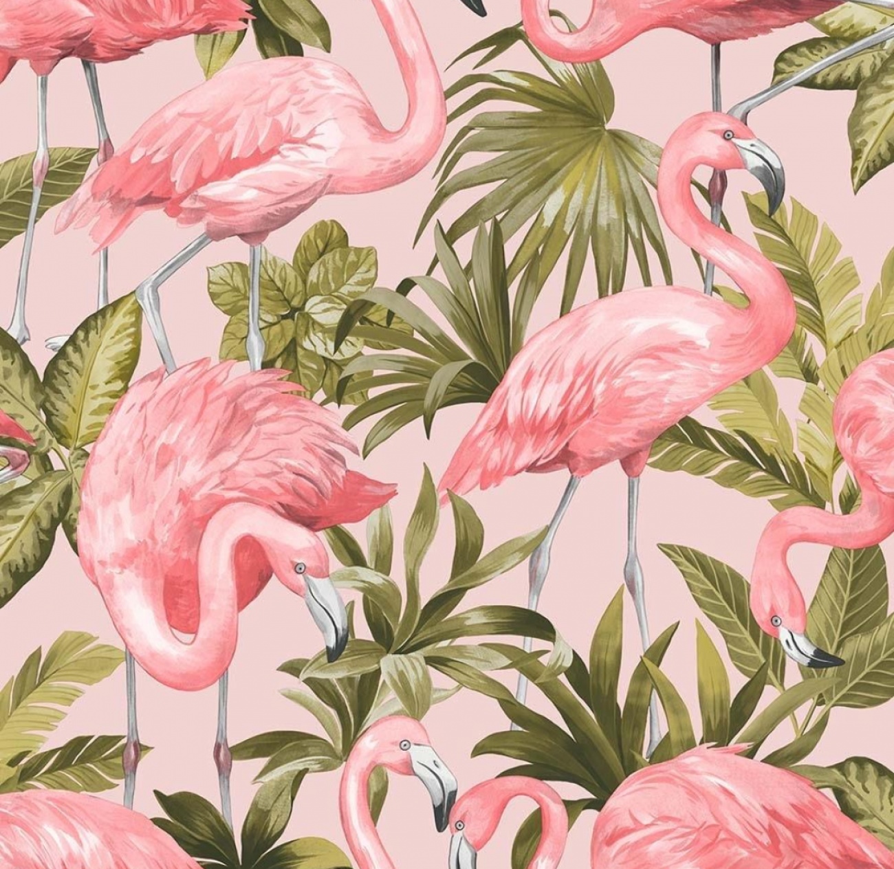 Flamingo Wall Paper 