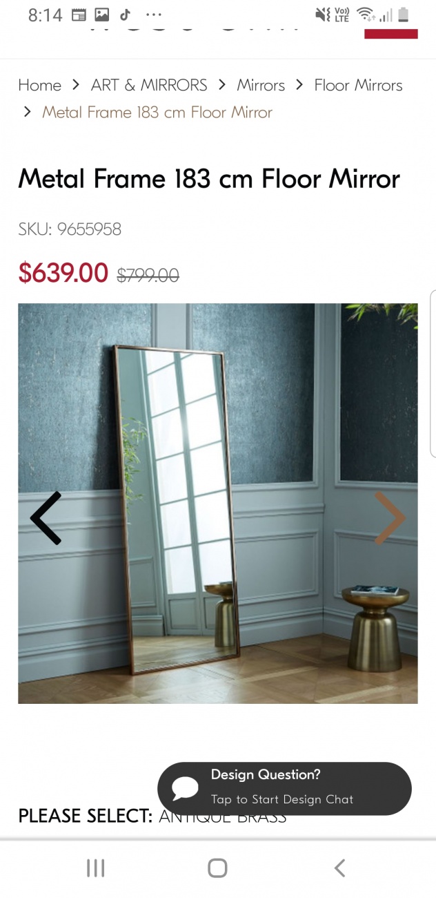 Floor mirror west elm