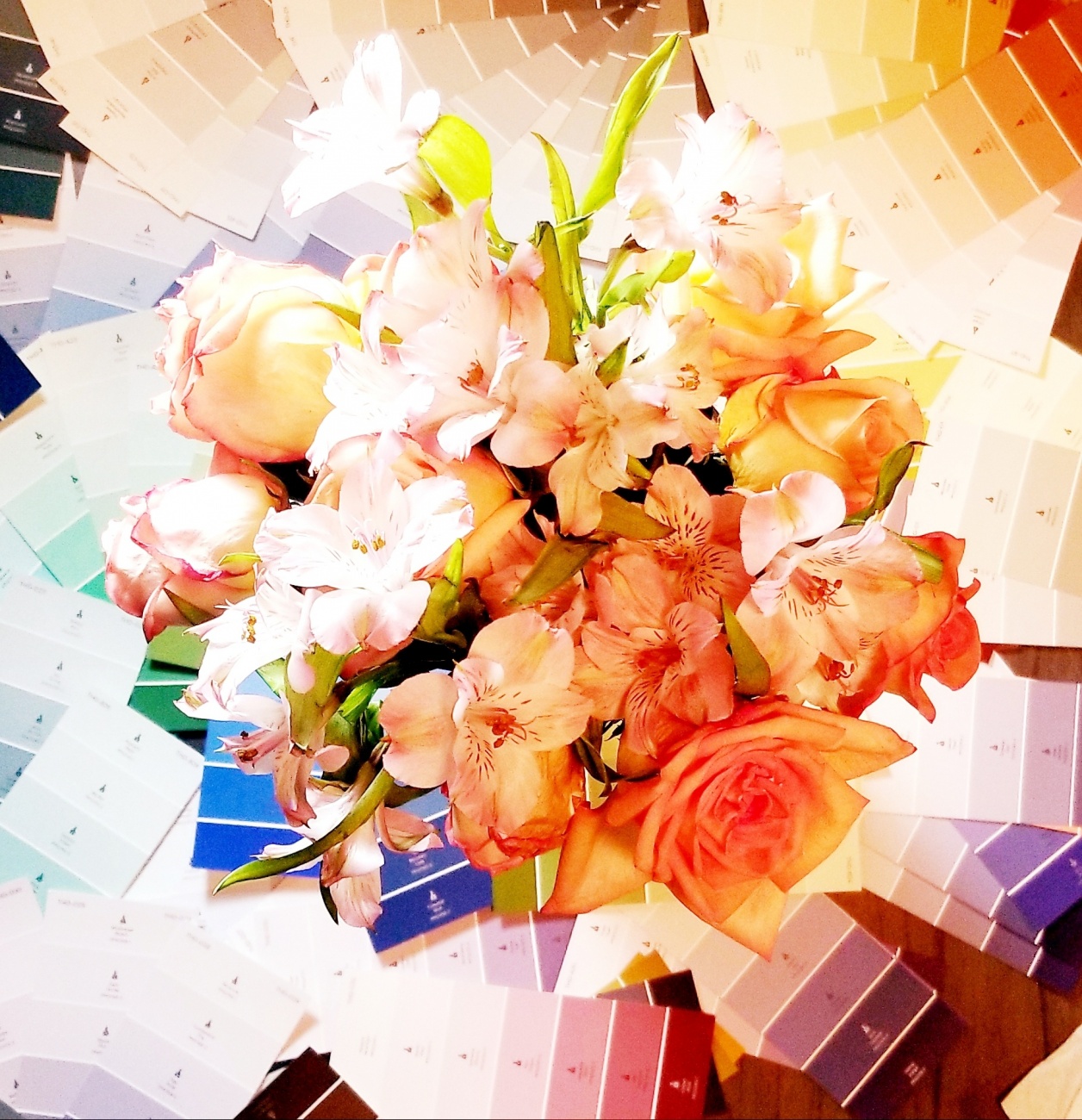 Floral color
