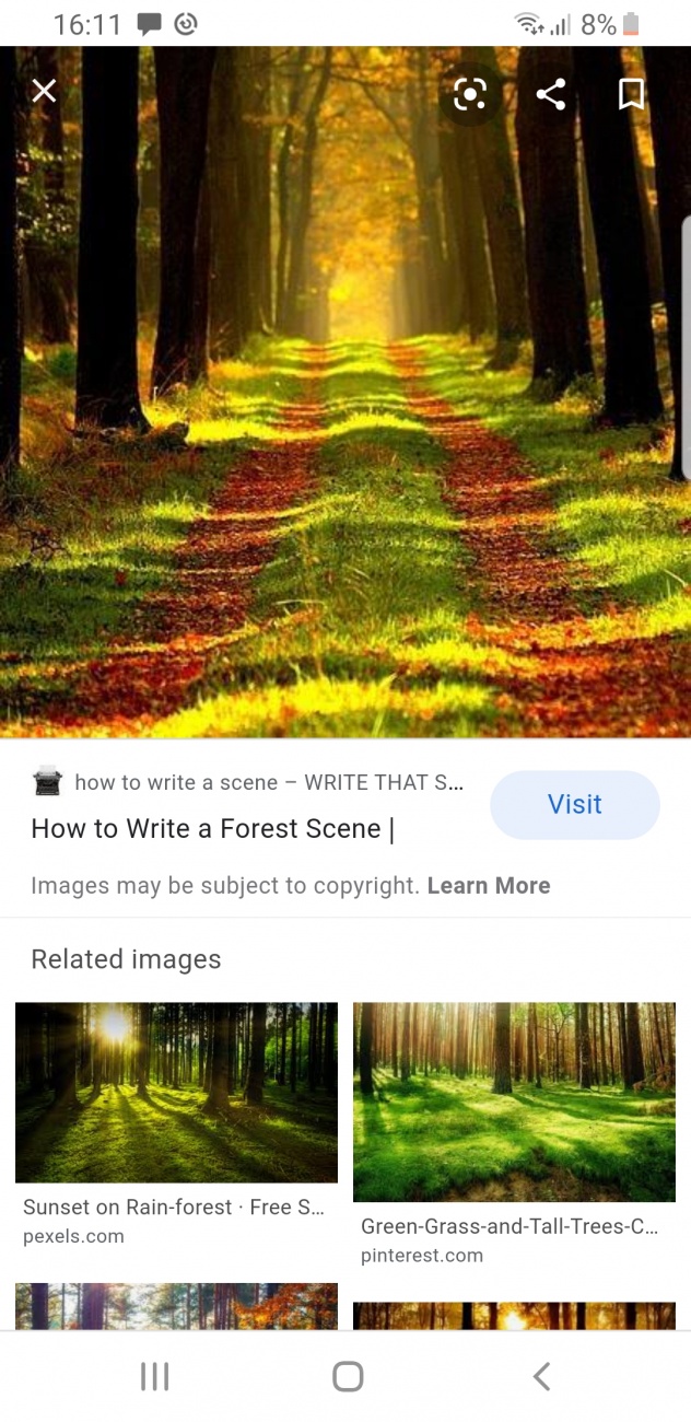 Forrest cover