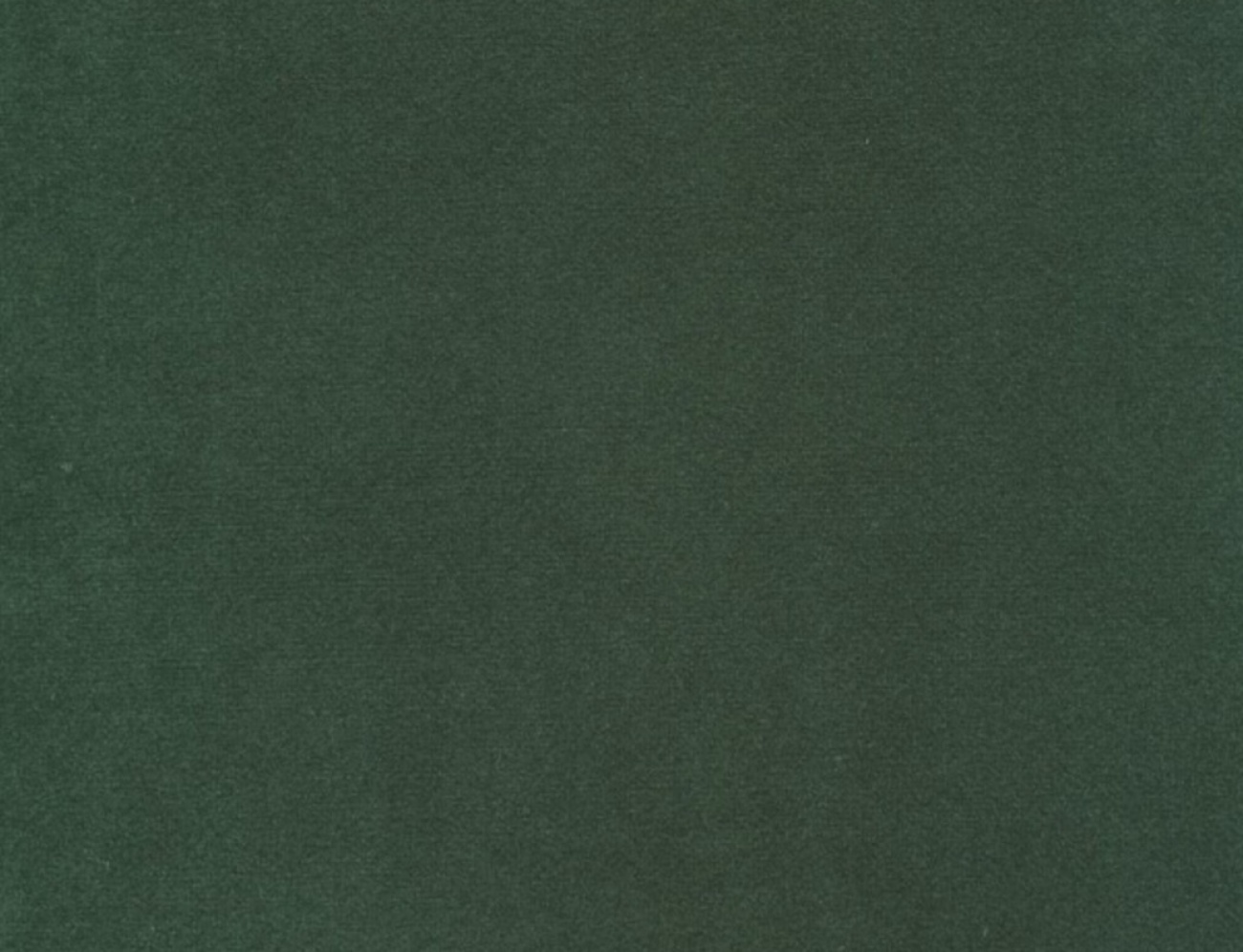Forrestgreen