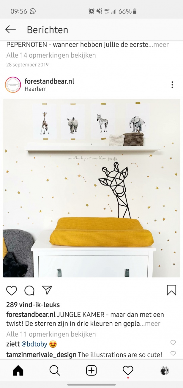 Giraffe
