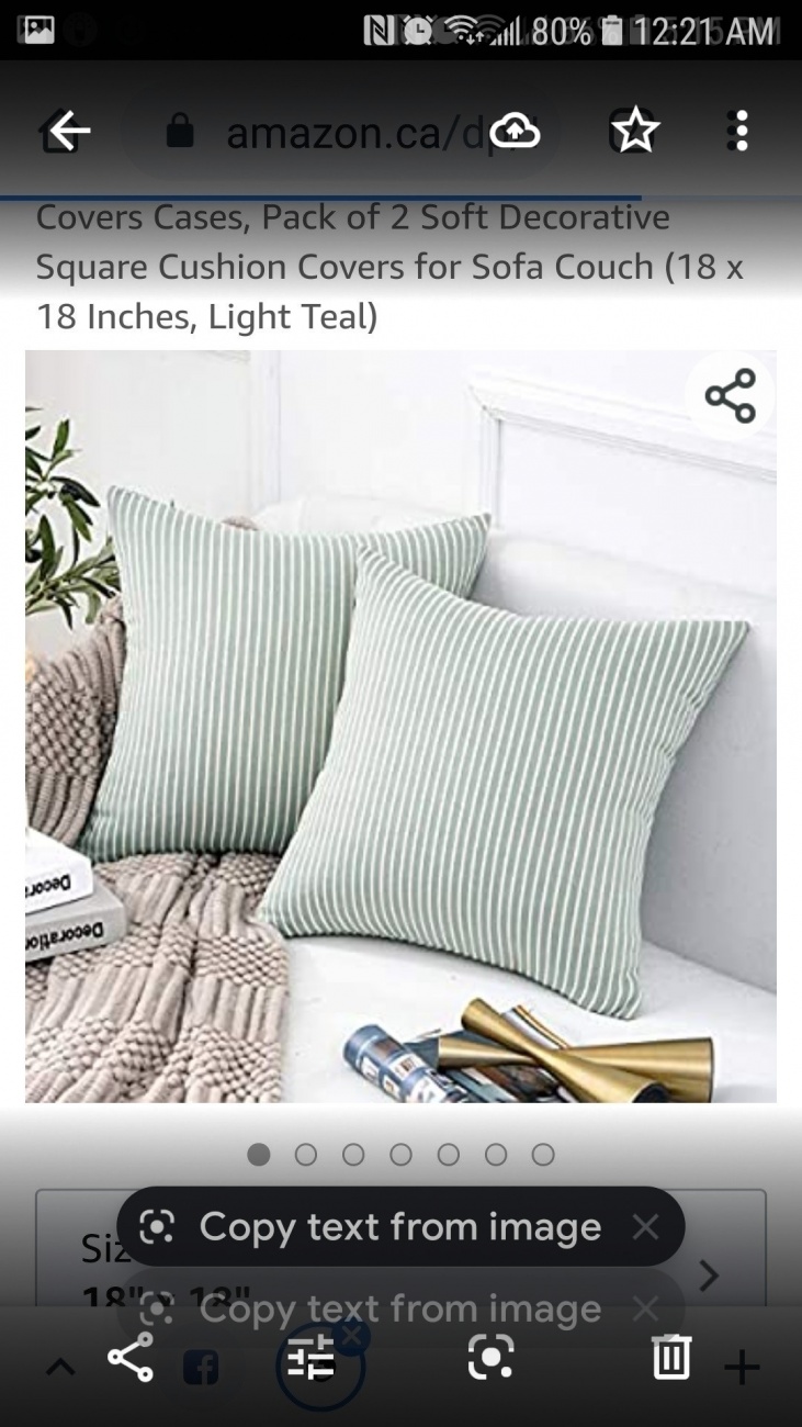 Green striped pillows