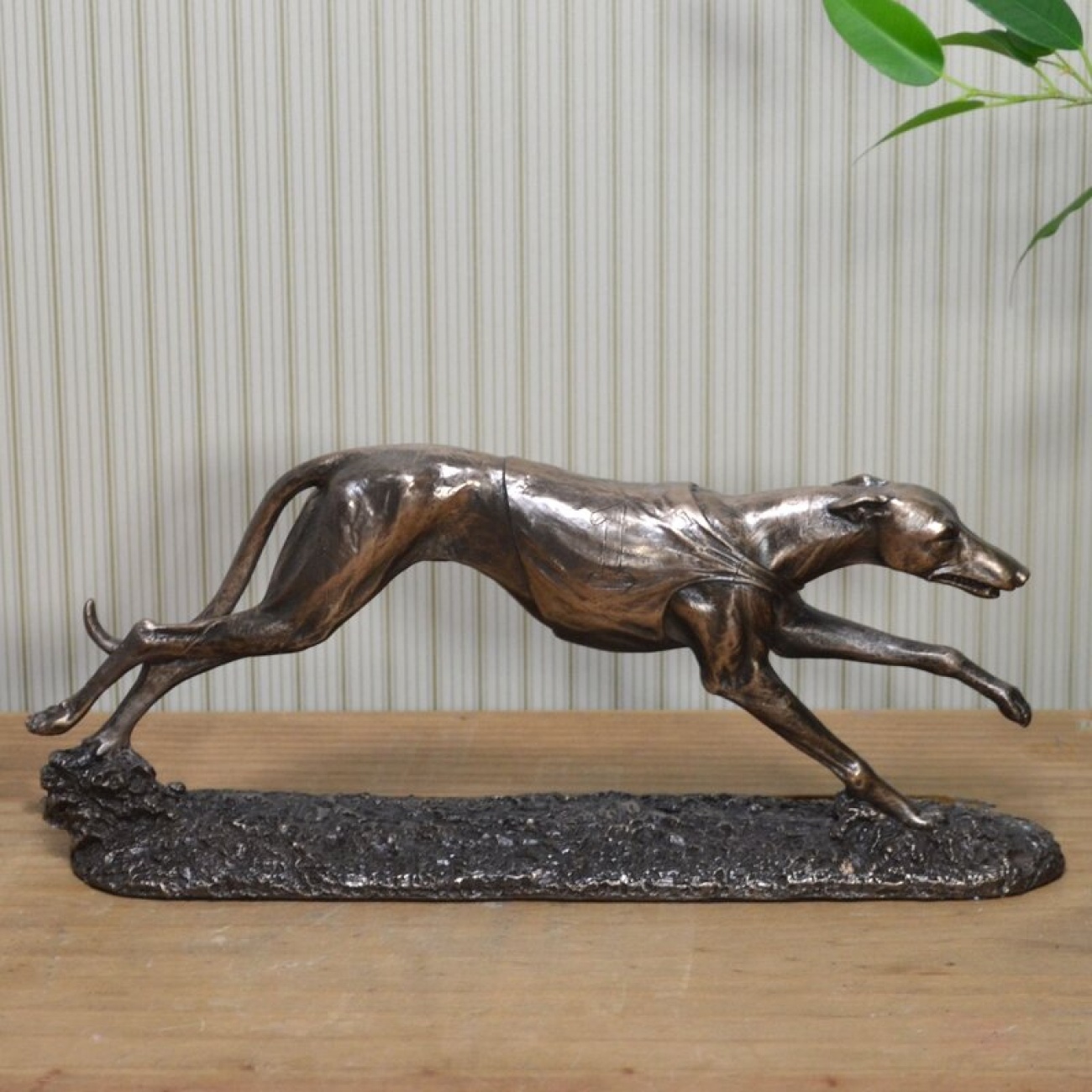 Greyhound
