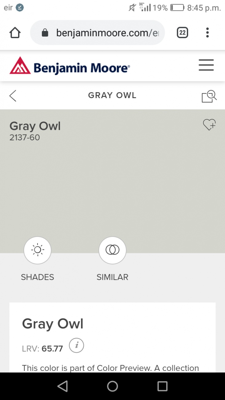 Grey owl
