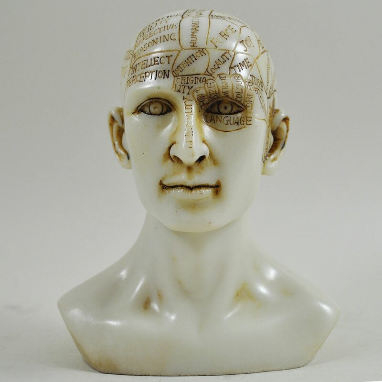 head