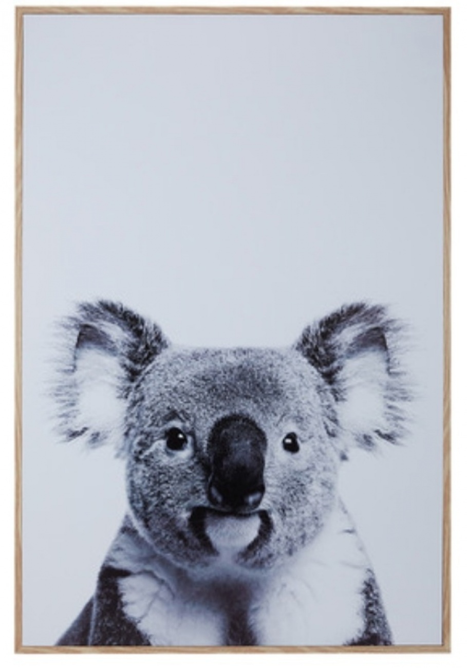 Koala Print - Kmart $19