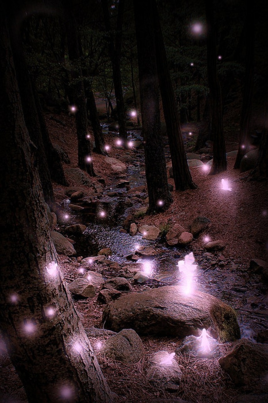 Lights
