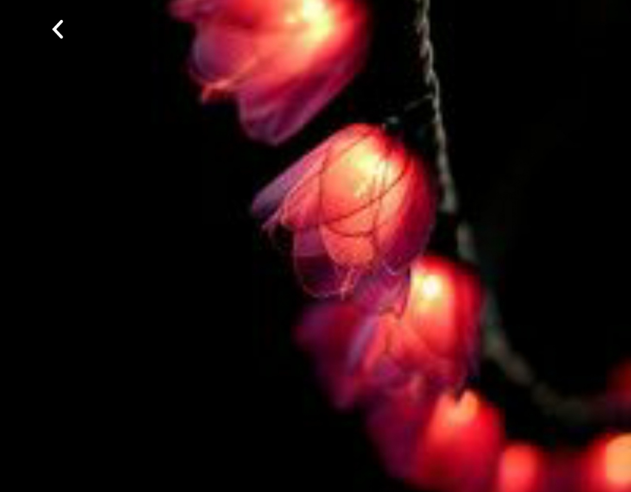 Lights above bed