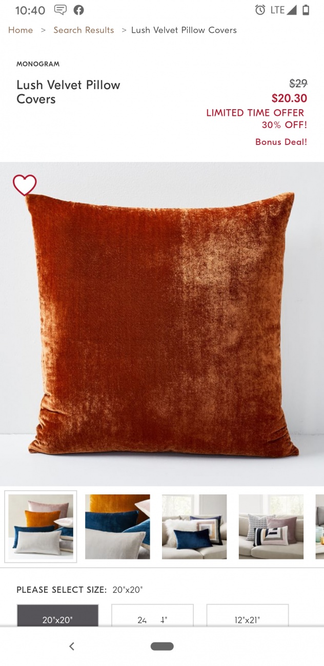 Lush velvet pillow cover 
