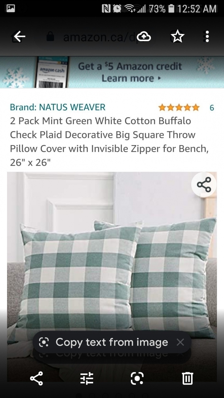 Mint plaid pillows