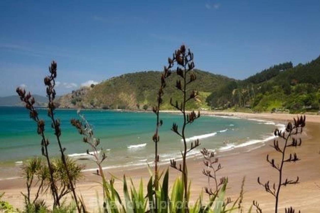Nz Beaches