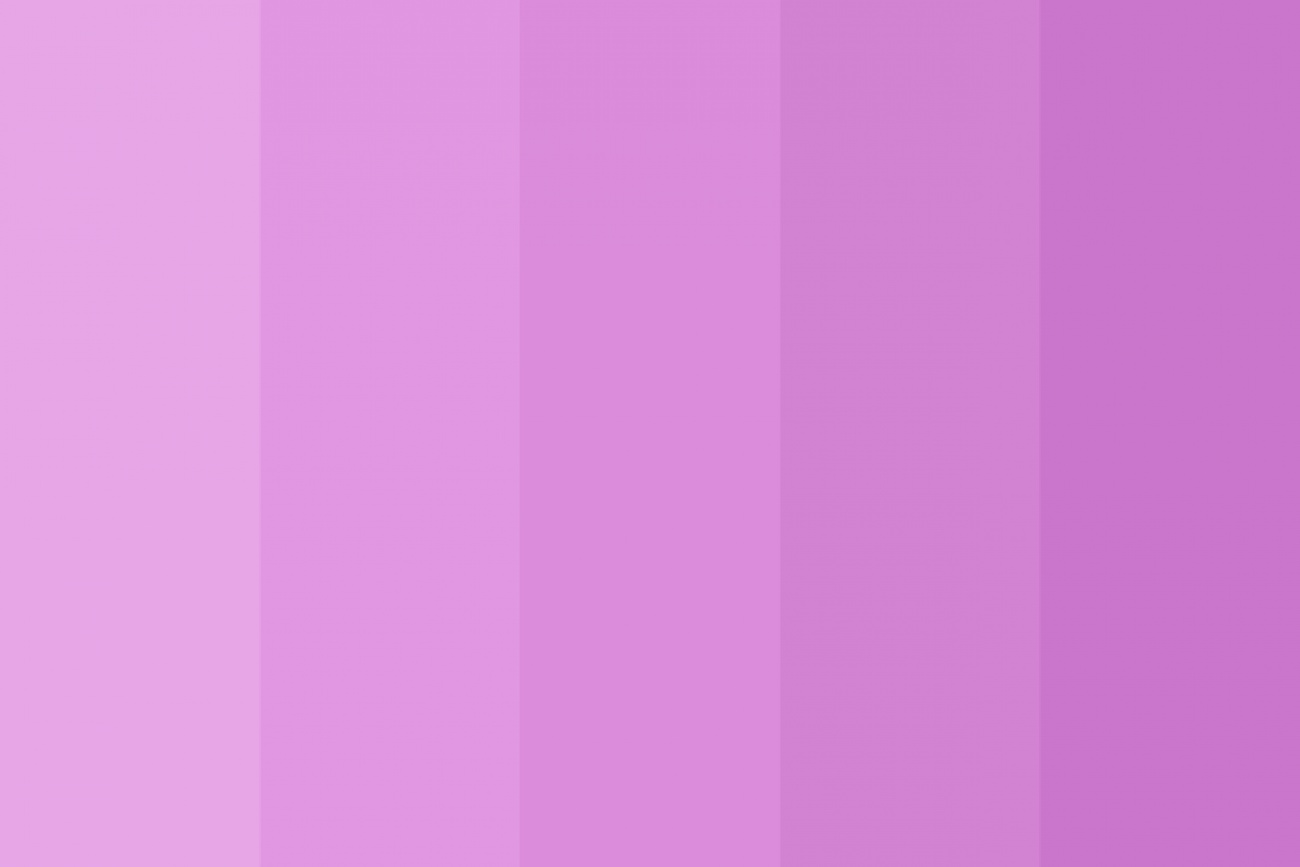 paint