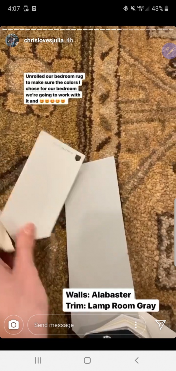 Paint