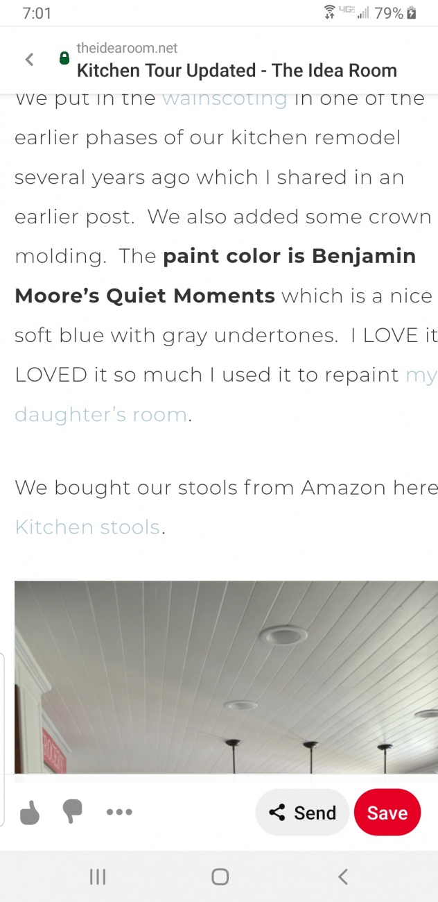 Paint color