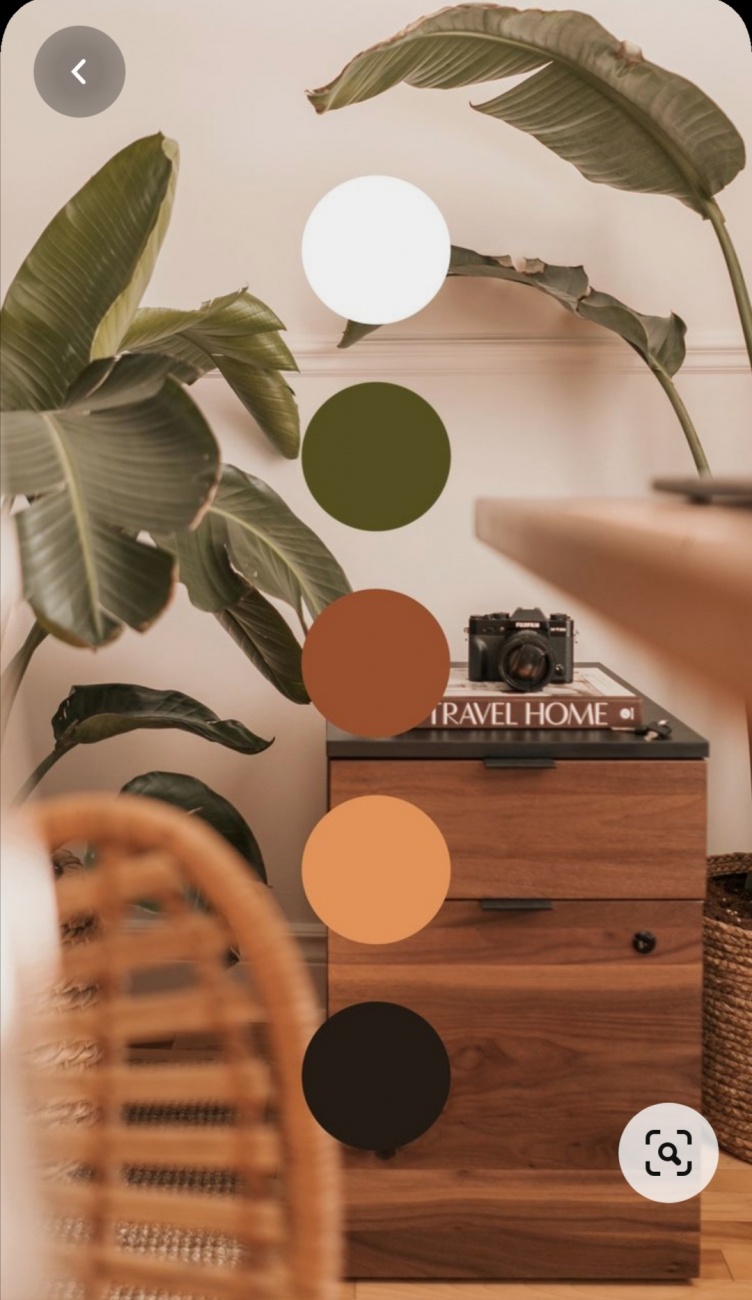 Palette